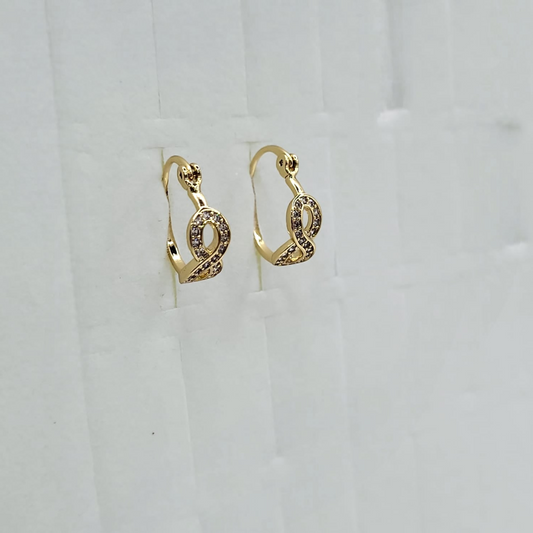 Infinity Small Earring Hoops