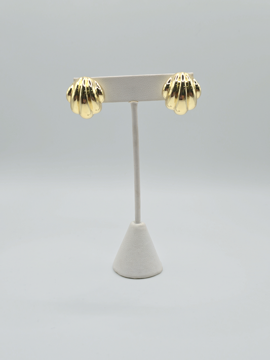 Shell stud earrings
